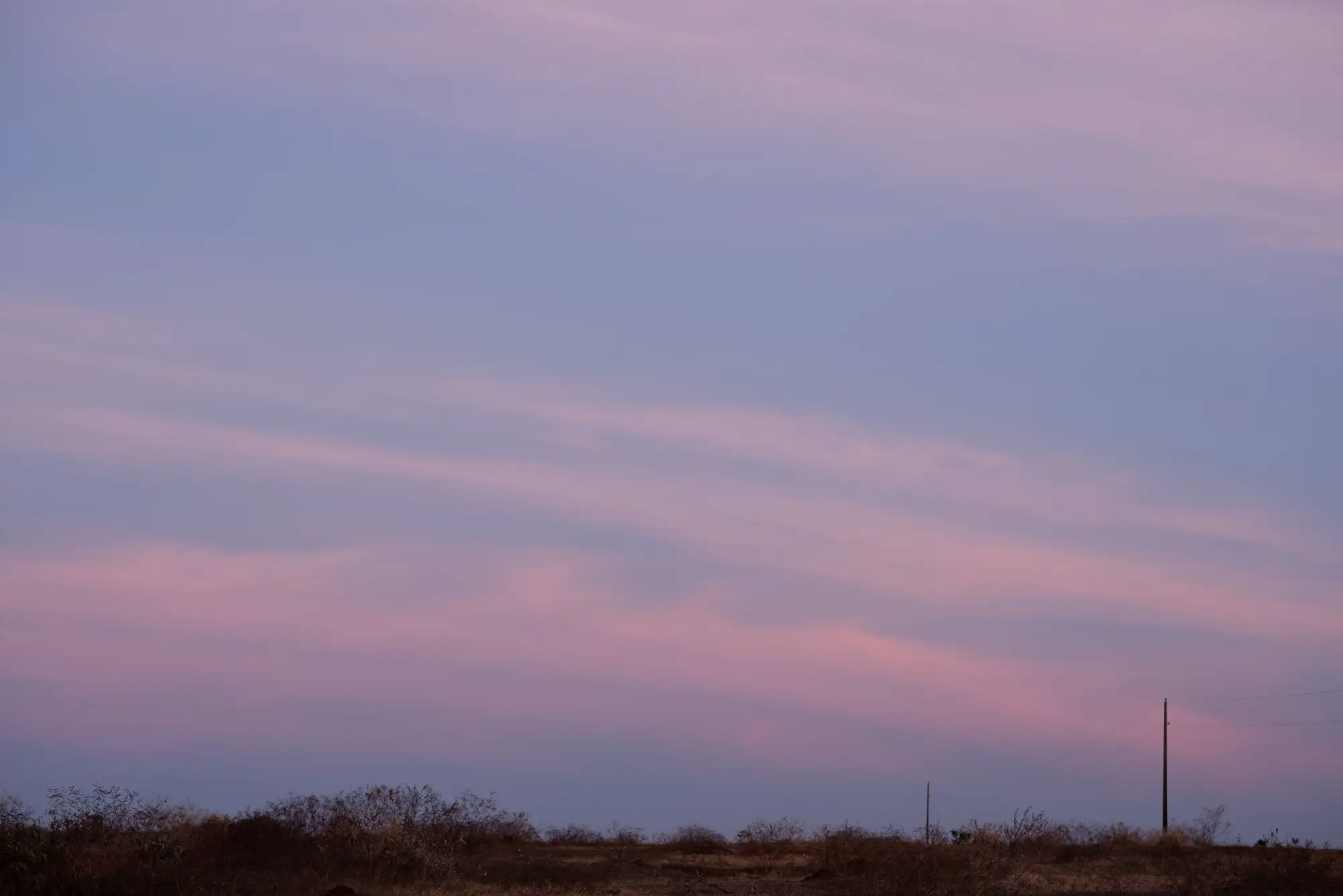 Open, scrubby ground under a pink and violet evening sky, with two utility poles on the horizon